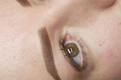 Permanent-make-up der Augenbrauen aus unserem Berliner Studio
